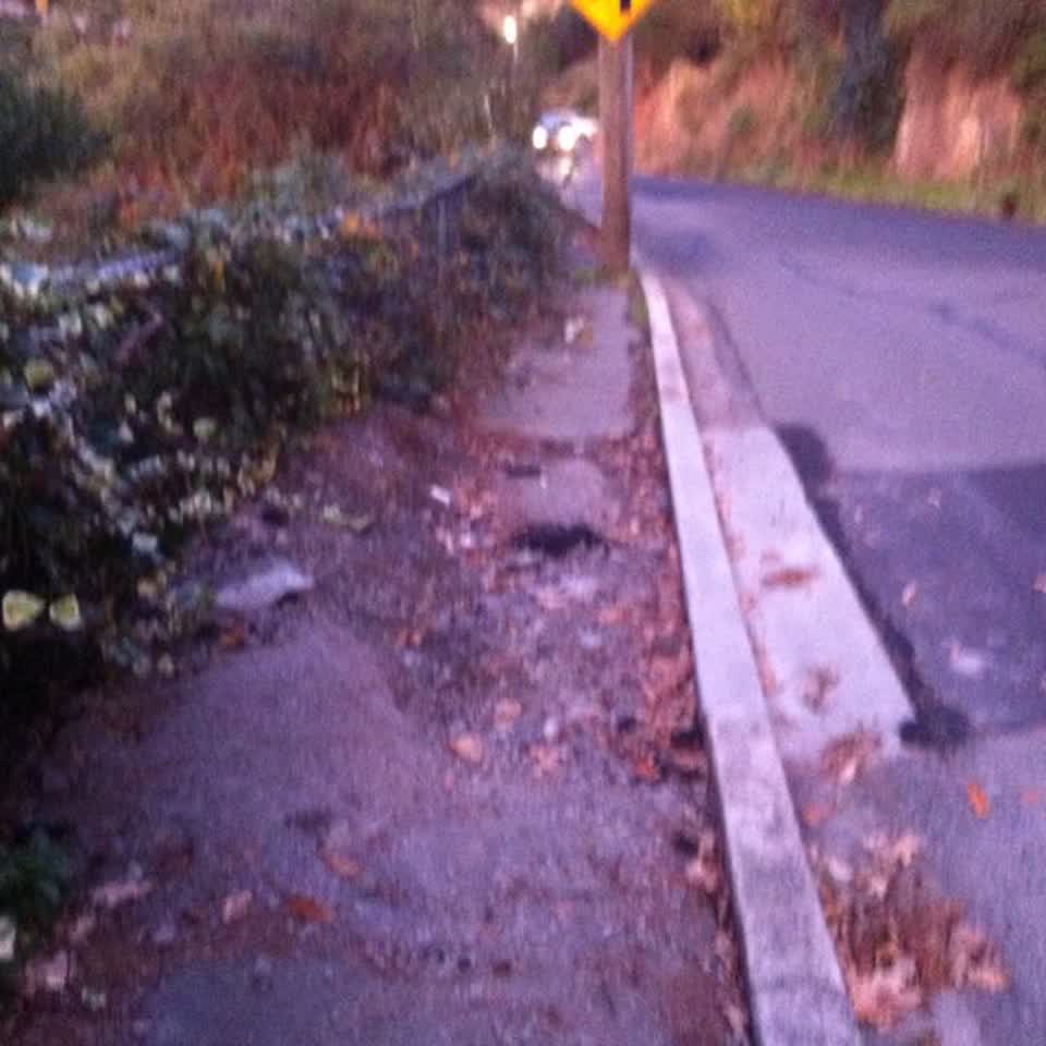 The photograph attached to this roading/streets report