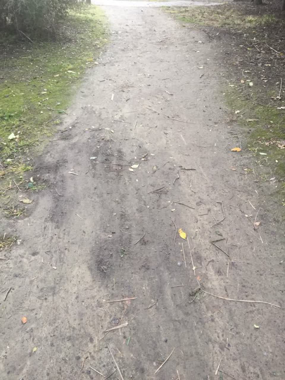 The photograph attached to this parks report