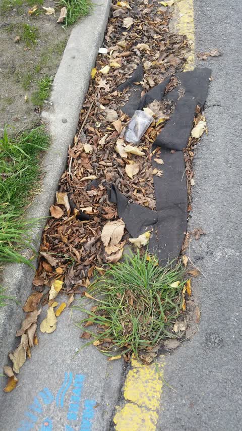 Roading/Streets, a report photo