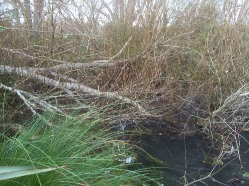 The photograph attached to this wastewater/stormwater report