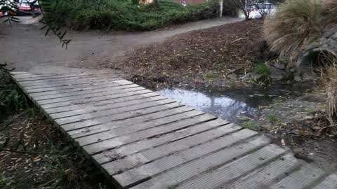 Wastewater/Stormwater, a report photo