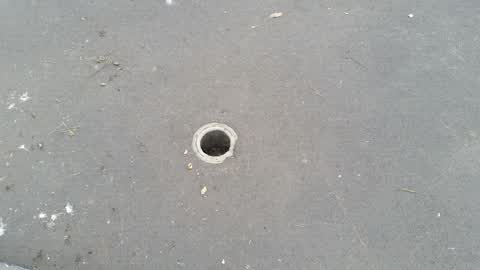 Water Supply, a report photo