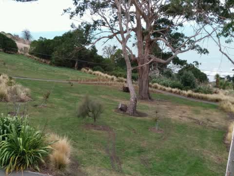 Parks, a report photo