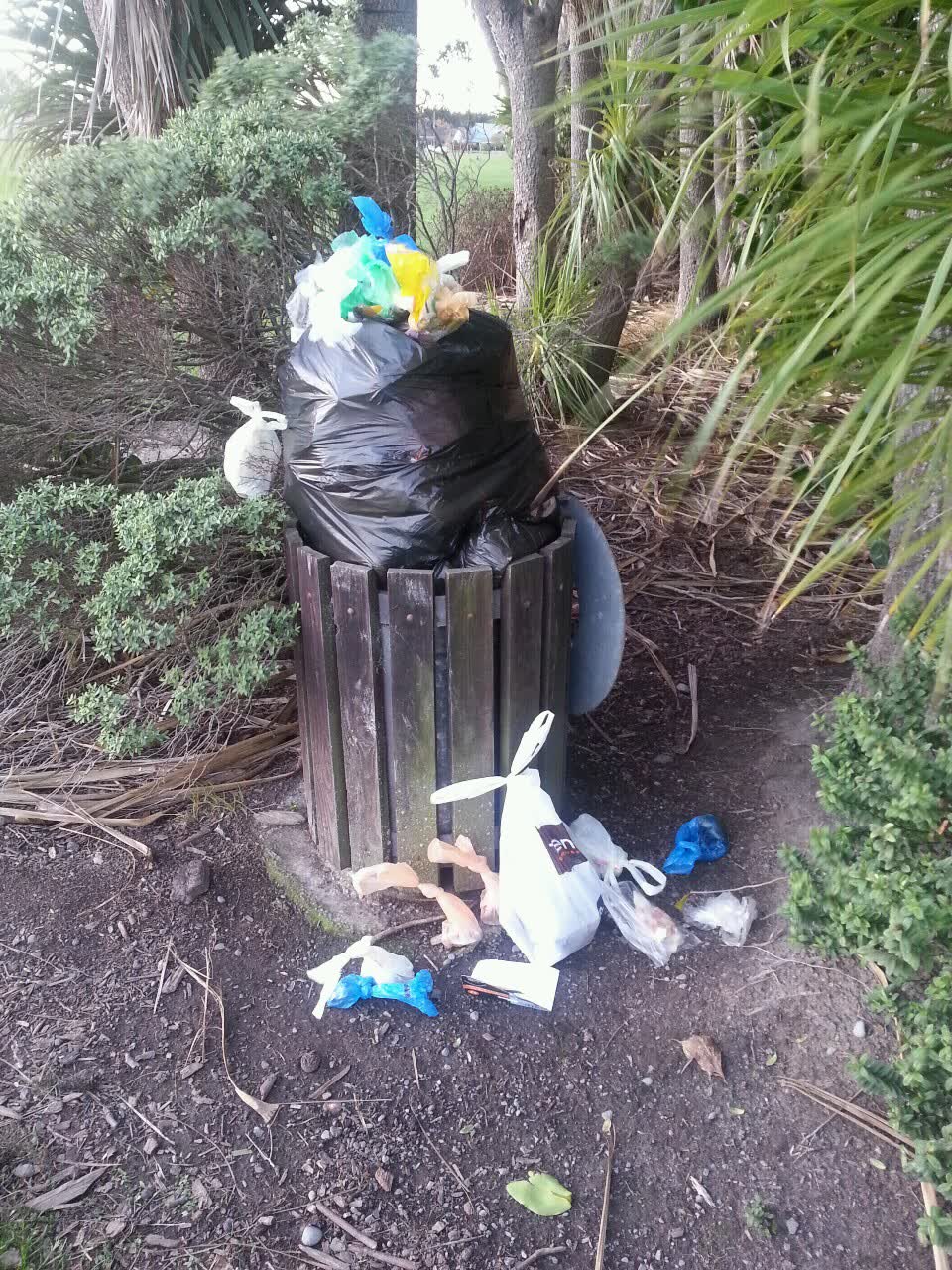The photograph attached to this parks report