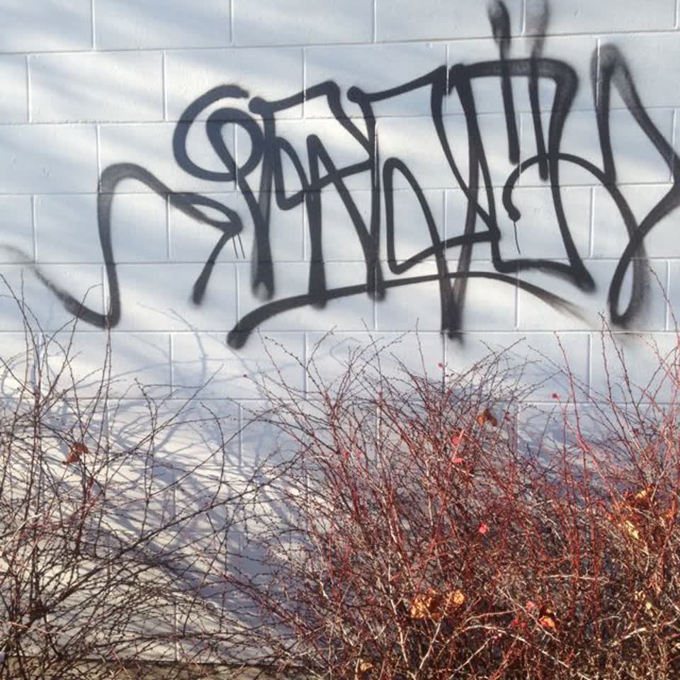 The photograph attached to this graffiti report