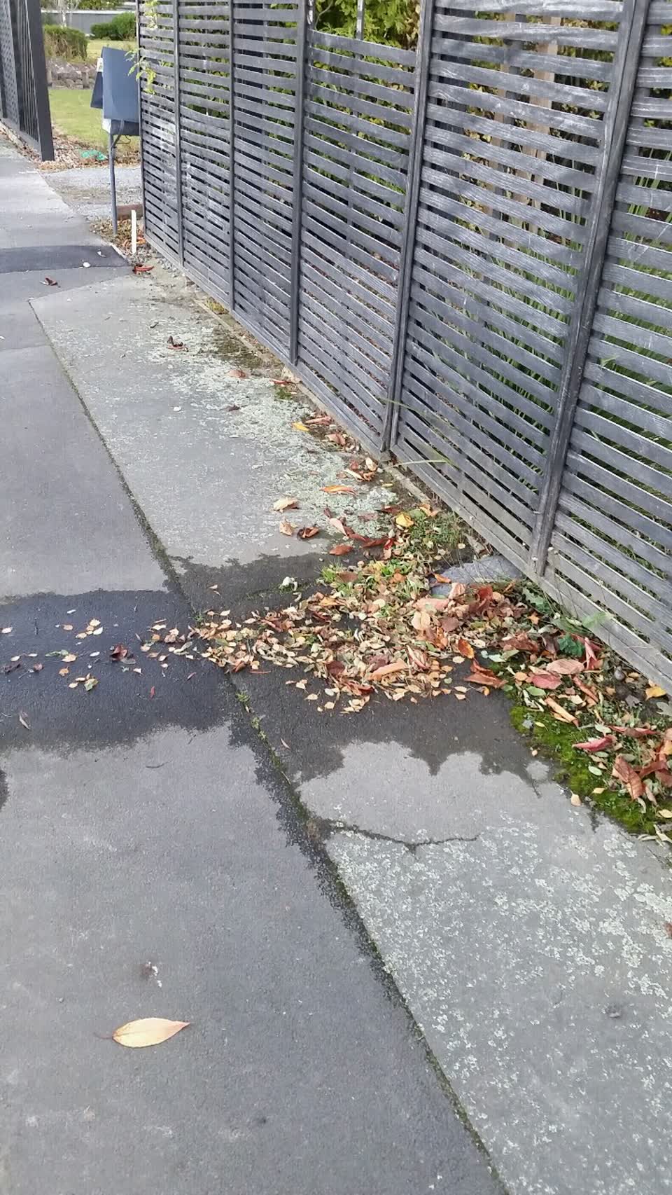 The photograph attached to this water supply report