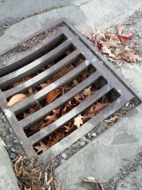 Wastewater/Stormwater, a report photo