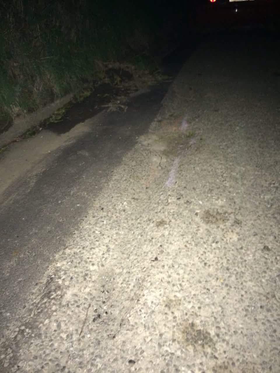 The photograph attached to this roading/streets report