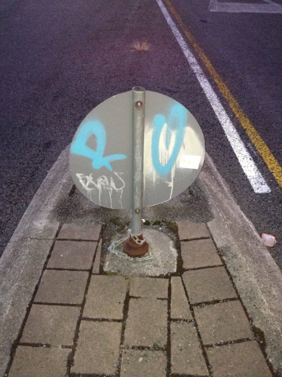 The photograph attached to this graffiti report