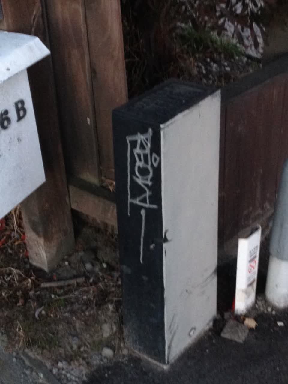 The photograph attached to this graffiti report