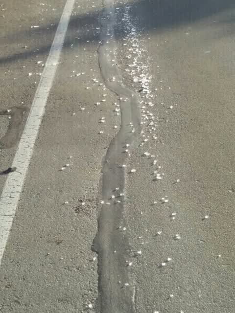 Roading/Streets, a report photo