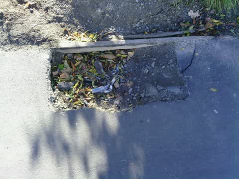 Roading/Streets — a report photo