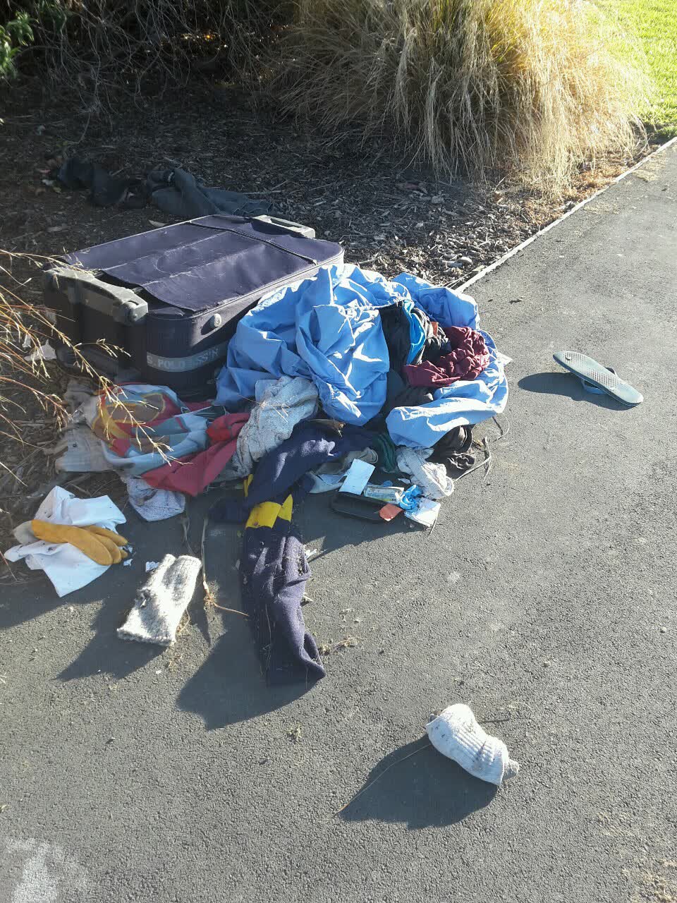 The photograph attached to this parks report