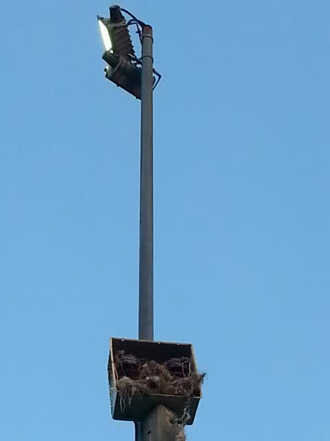 Parks, a report photo