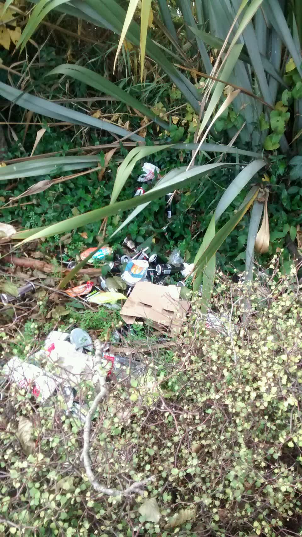 The photograph attached to this parks report