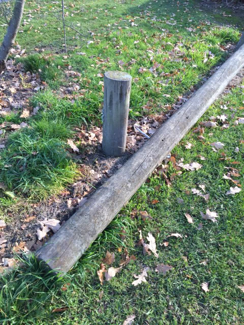 The photograph attached to this parks report