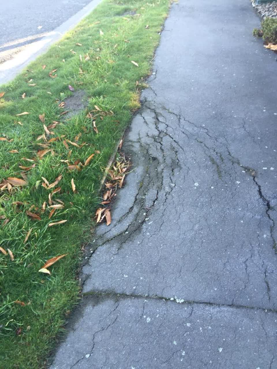 The photograph attached to this roading/streets report