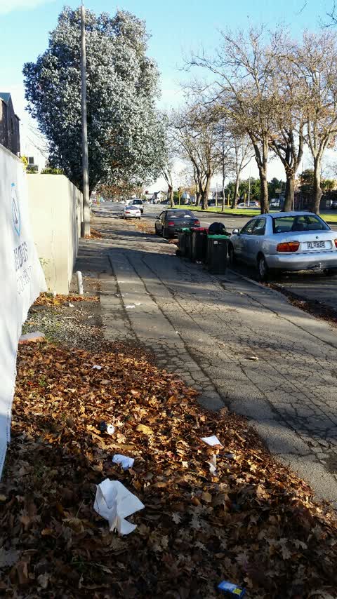 Rubbish/Recycling, a report photo