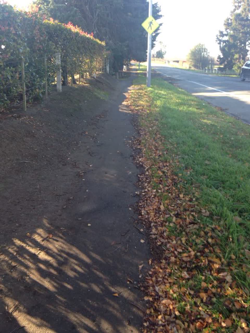 The photograph attached to this parks report