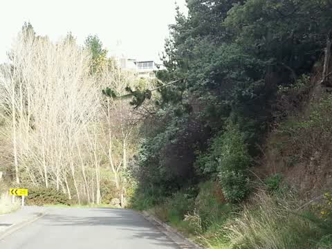 Roading/Streets, a report photo