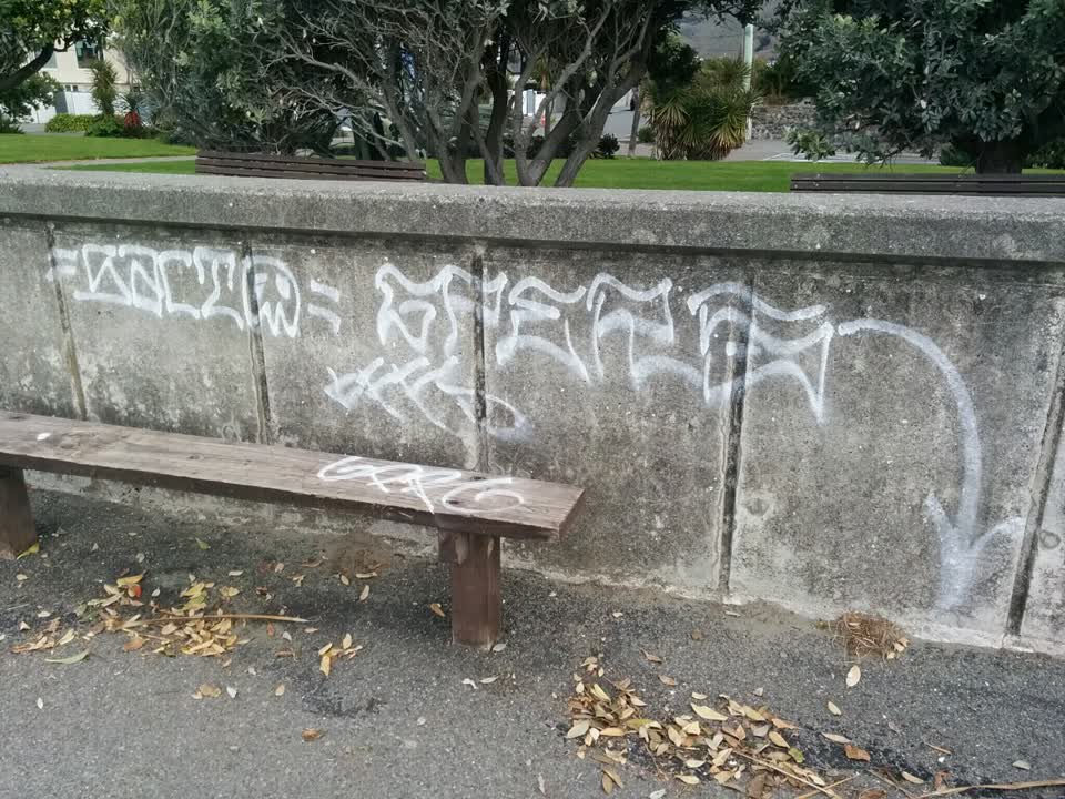 The photograph attached to this graffiti report
