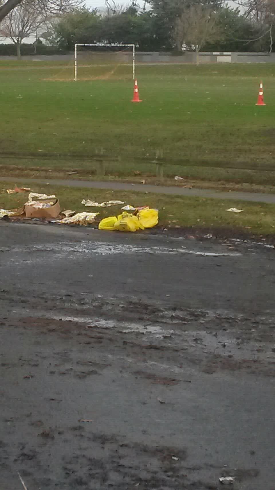 The photograph attached to this rubbish/recycling report