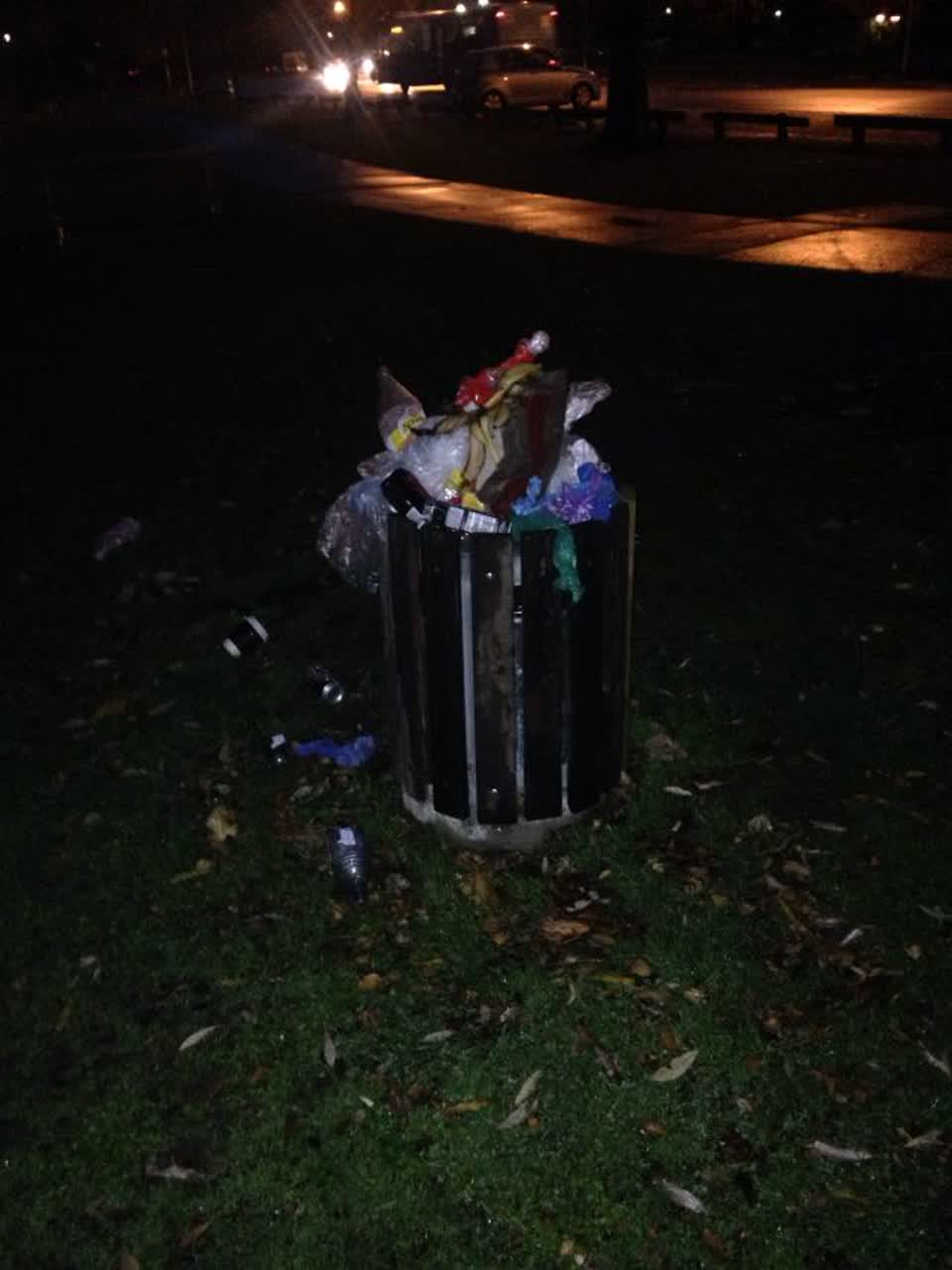 The photograph attached to this rubbish/recycling report