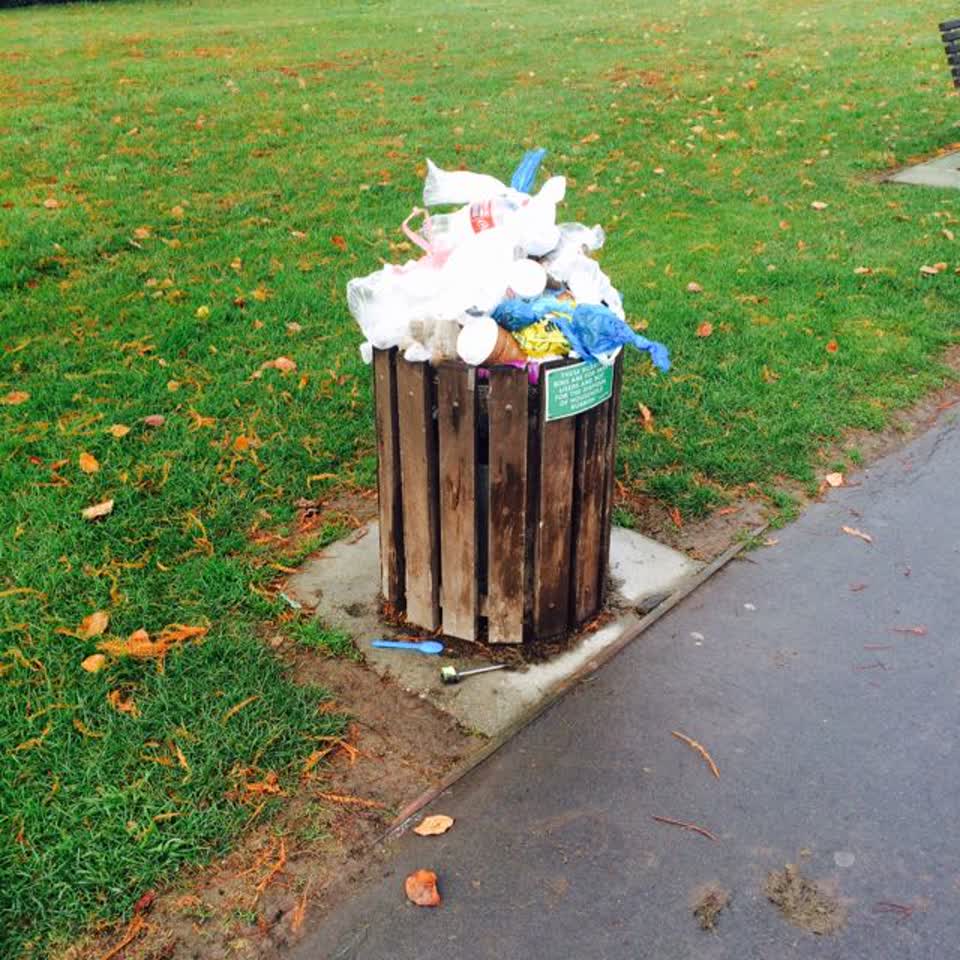 The photograph attached to this parks report