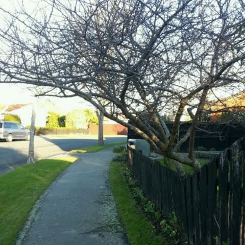 Roading/Streets, a report photo