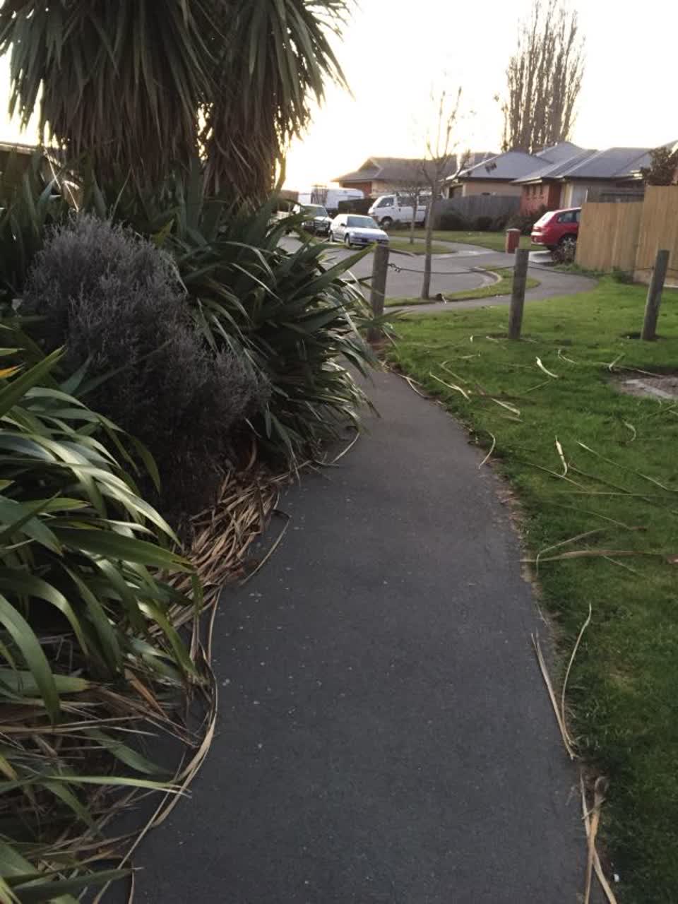 The photograph attached to this parks report