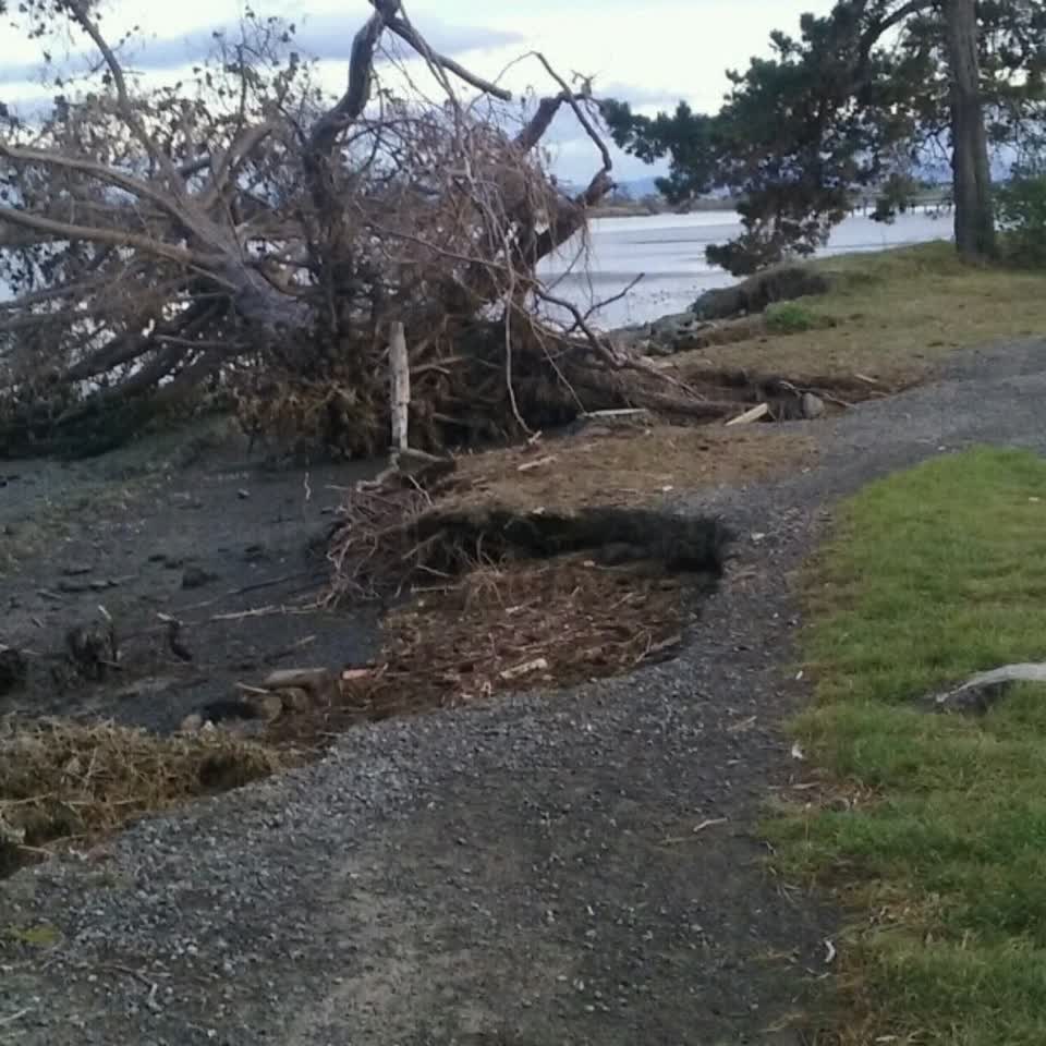The photograph attached to this parks report