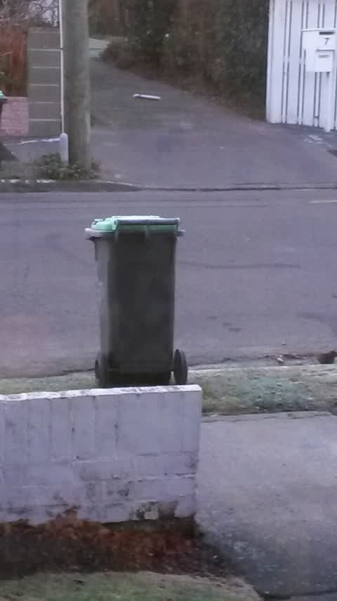 Rubbish/Recycling, a report photo