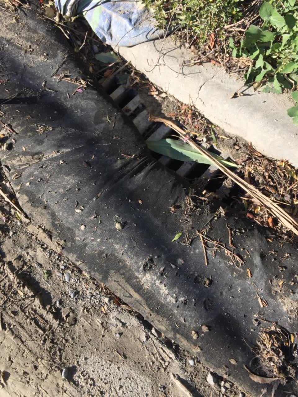 The photograph attached to this wastewater/stormwater report