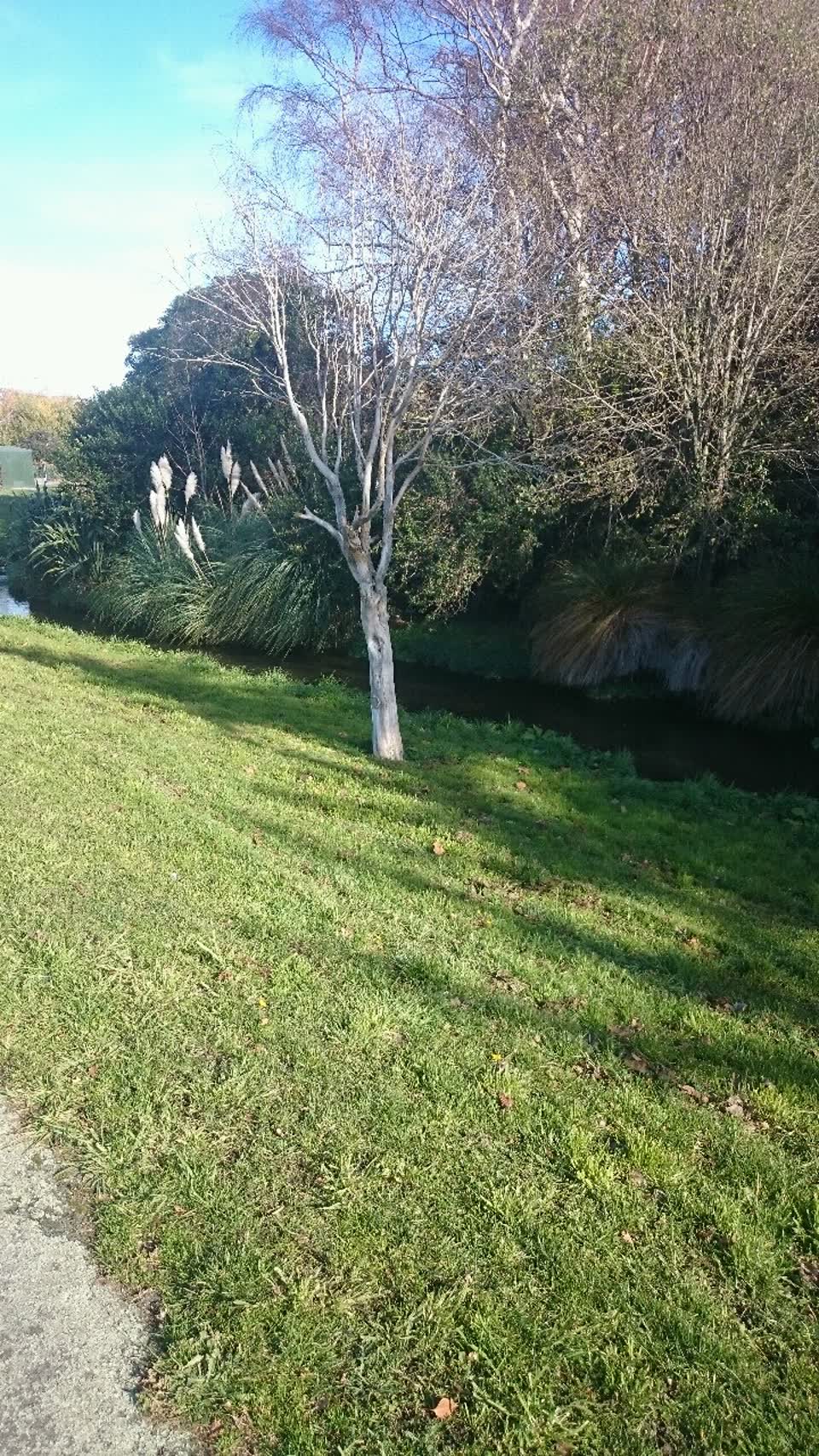 The photograph attached to this parks report