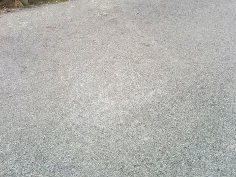 Parks, a report photo