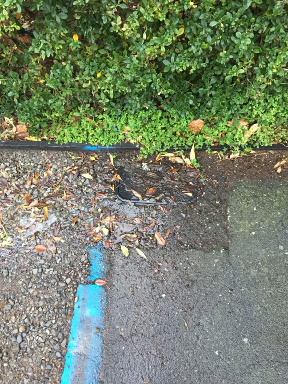The photograph attached to this water supply report