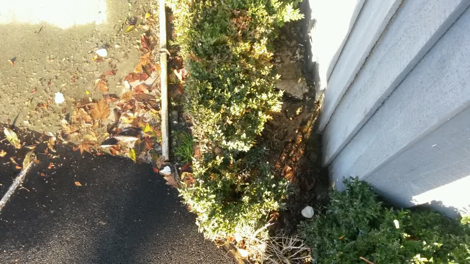 The photograph attached to this water supply report
