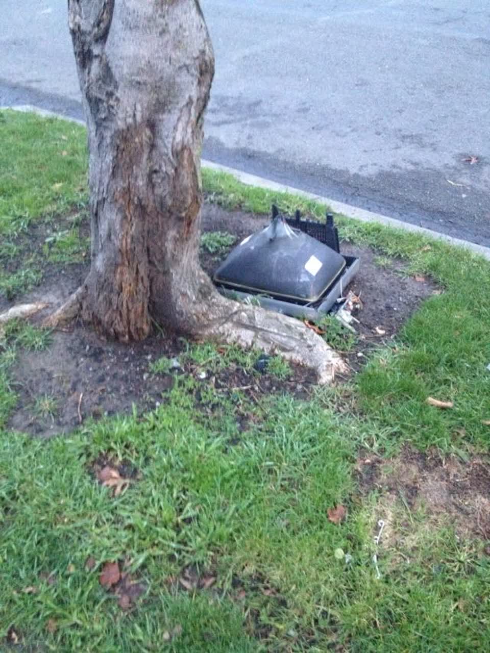 The photograph attached to this rubbish/recycling report