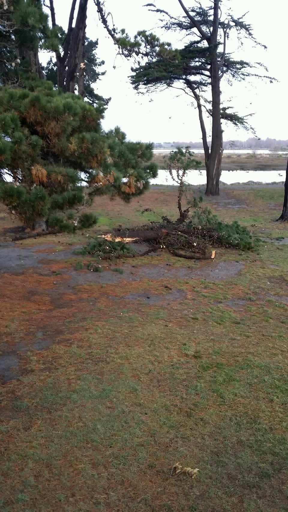 The photograph attached to this parks report