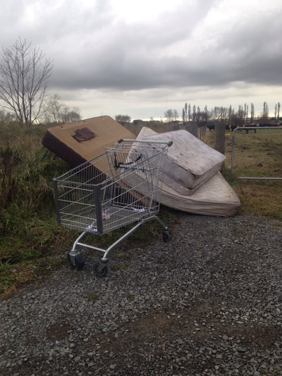 The photograph attached to this rubbish/recycling report