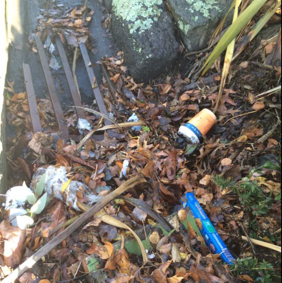 The photograph attached to this wastewater/stormwater report