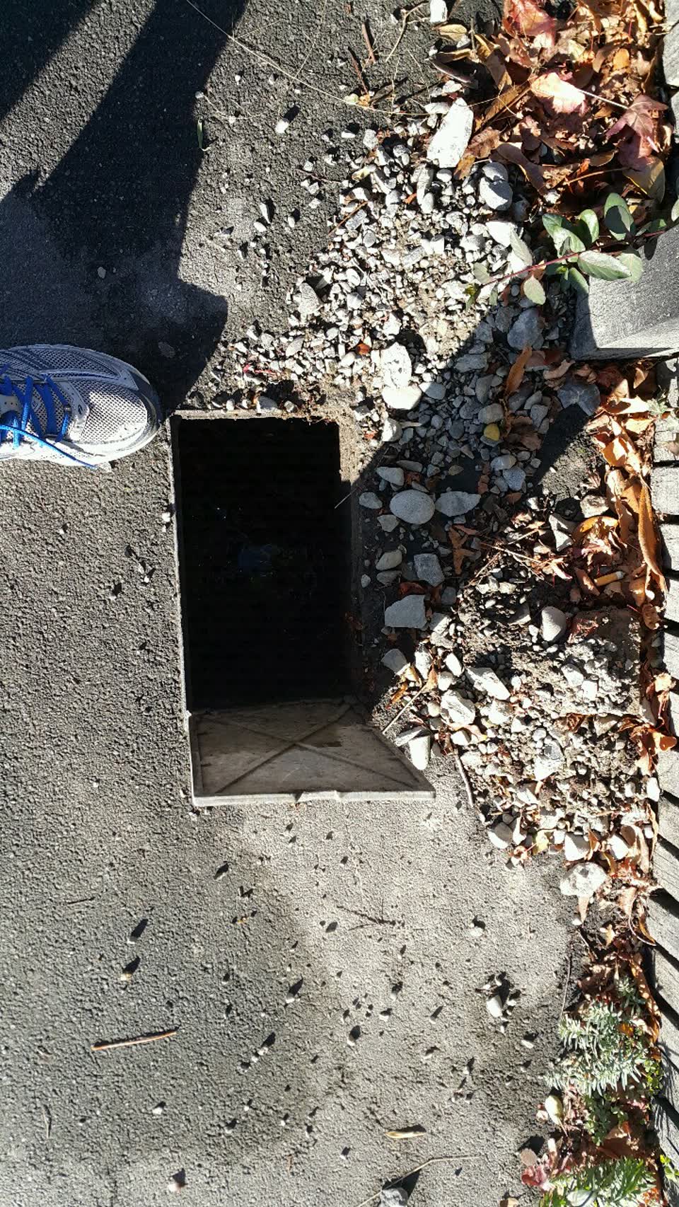 The photograph attached to this wastewater/stormwater report