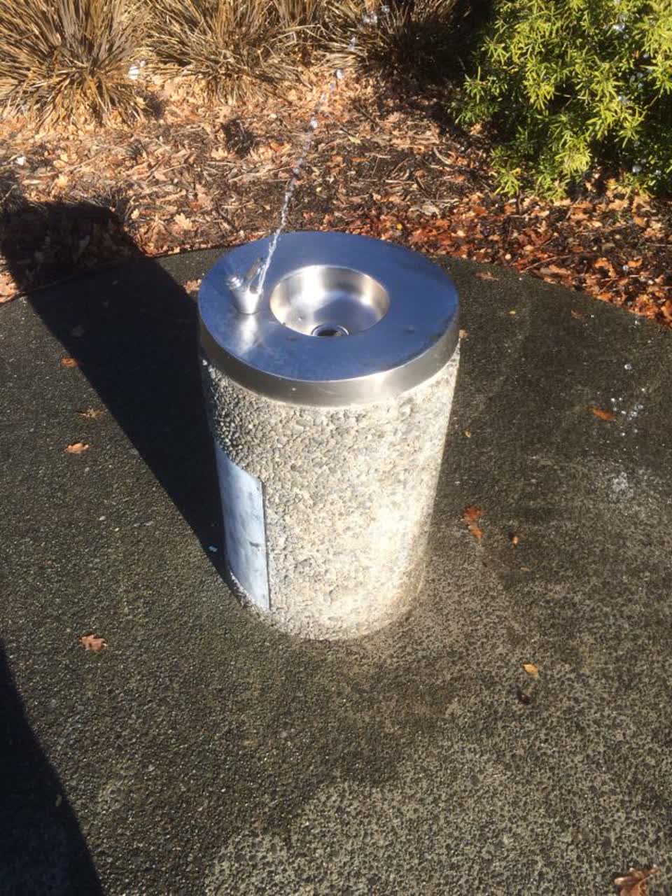 The photograph attached to this parks report