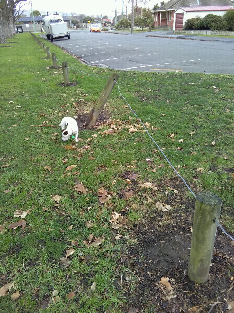 The photograph attached to this parks report