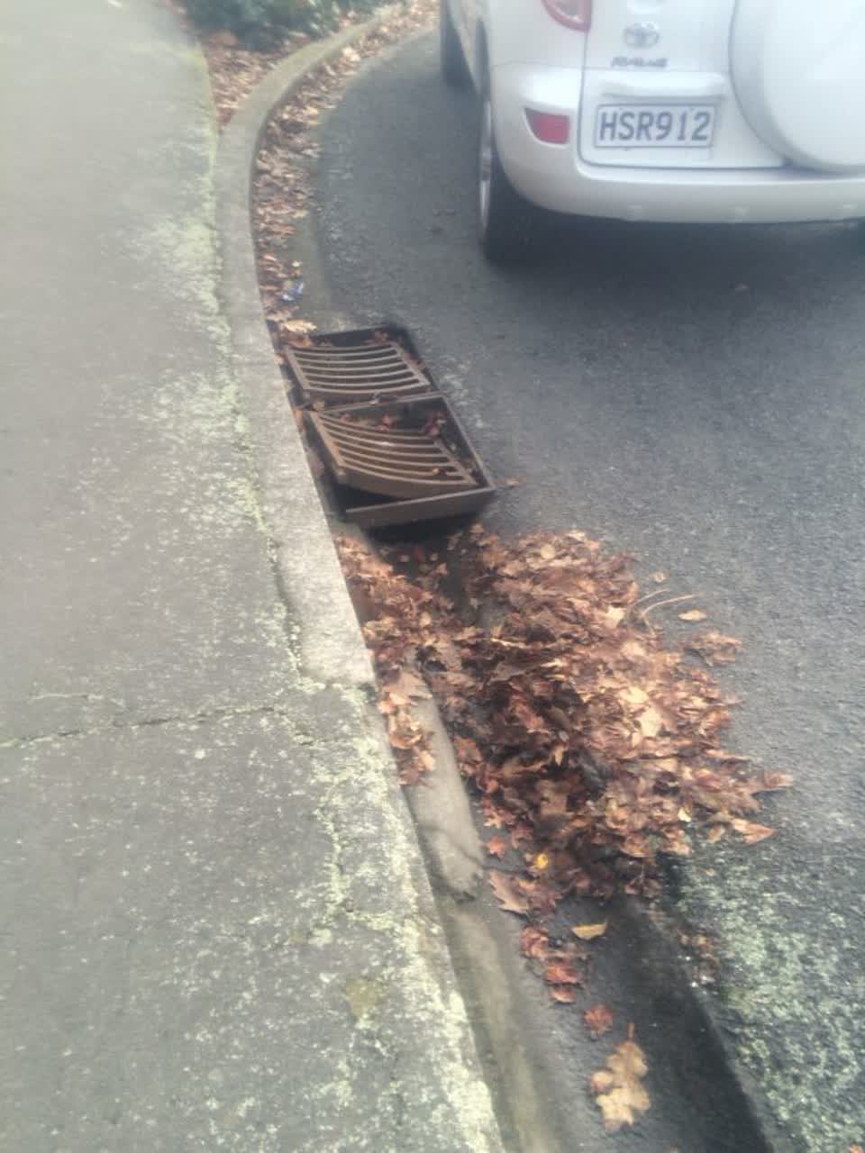 The photograph attached to this roading/streets report