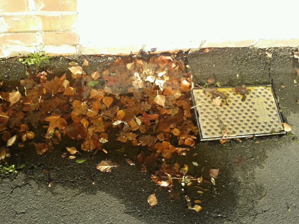 The photograph attached to this water supply report