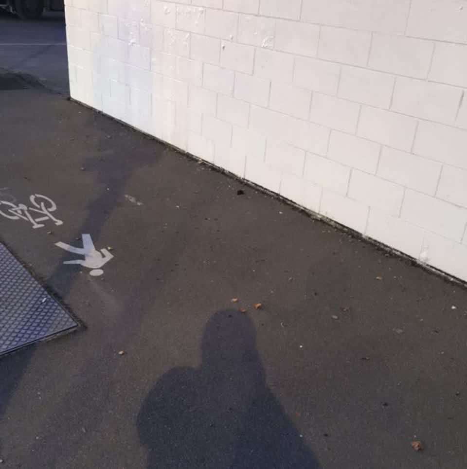 The photograph attached to this rubbish/recycling report