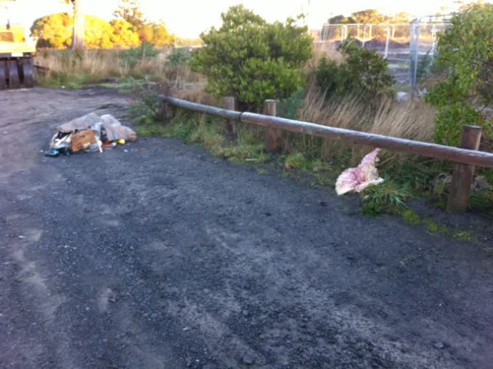 The photograph attached to this roading/streets report