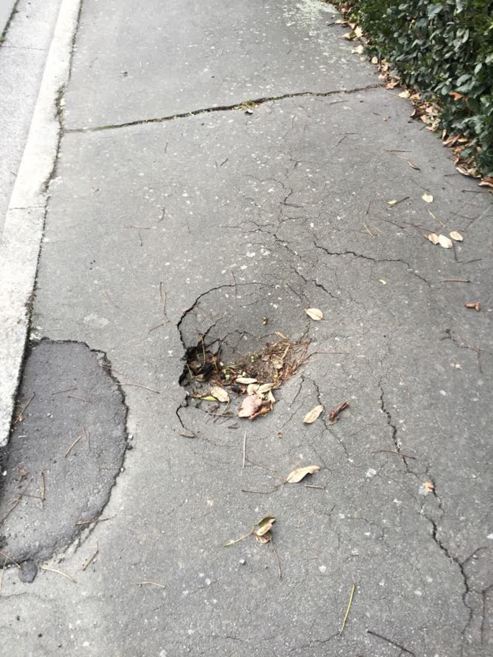 The photograph attached to this roading/streets report