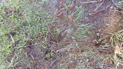 Water Supply, a report photo